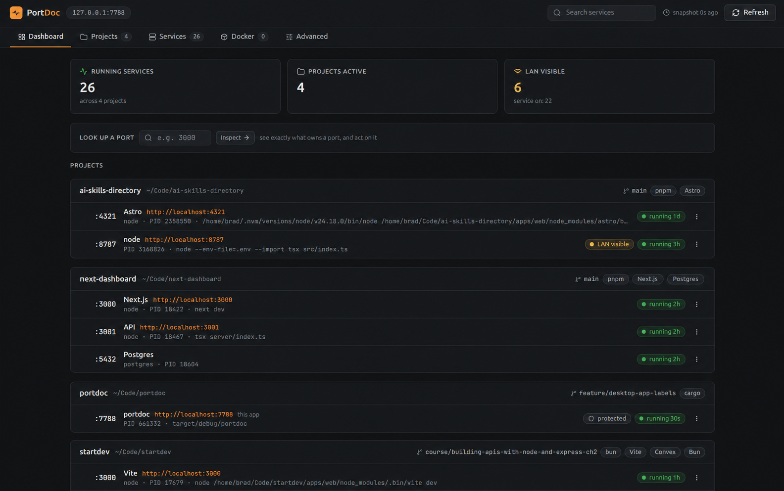 PortDoc dashboard showing active services grouped by project, ports, process details, and status labels